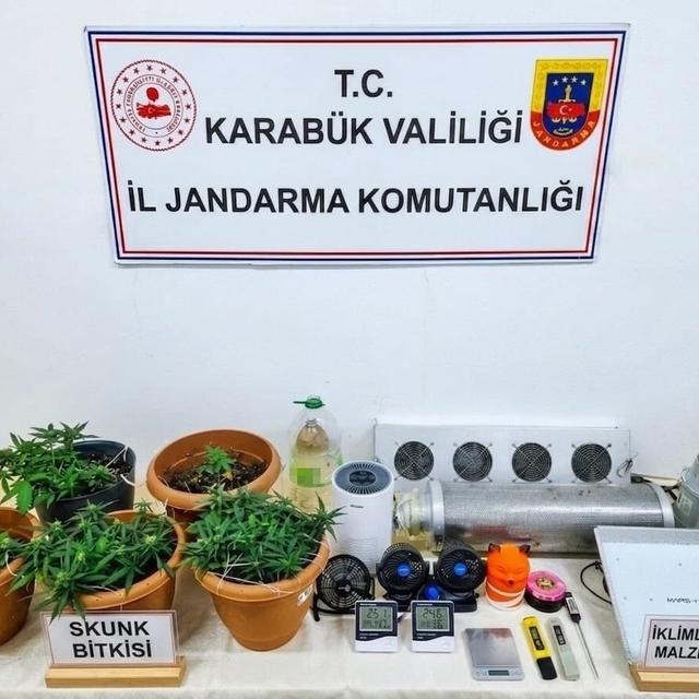 Karabük'te uyuşturucu operasyonu: Skunk serası ortaya çıkarıldı
