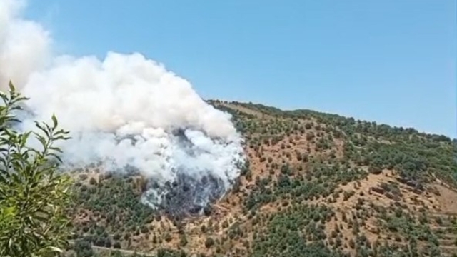 Sultanhisar'da makilik ve orman yangını