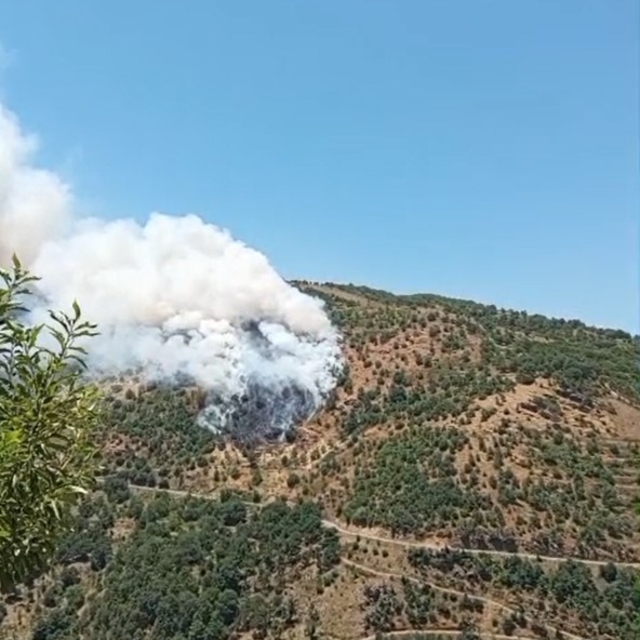 Sultanhisar'da makilik ve orman yangını