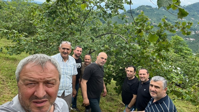 Trabzon'da Fındıkta rekolte tespiti çalışmaları başladı