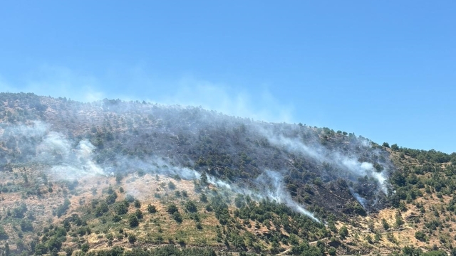 Sultanhisar'daki yangına havadan ve karadan müdahale sürüyor