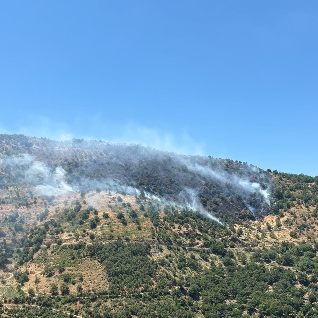 Sultanhisar'daki yangına havadan ve karadan müdahale sürüyor