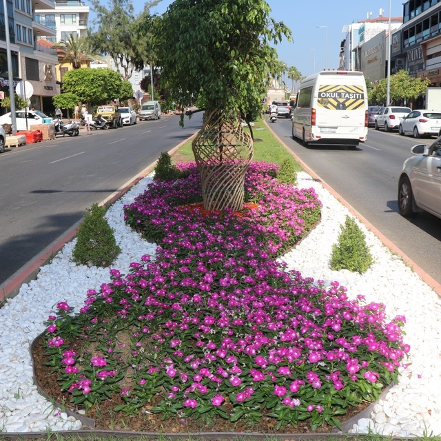 Alanya Belediyesi'nden yeşil alanlarda yoğun mesai
