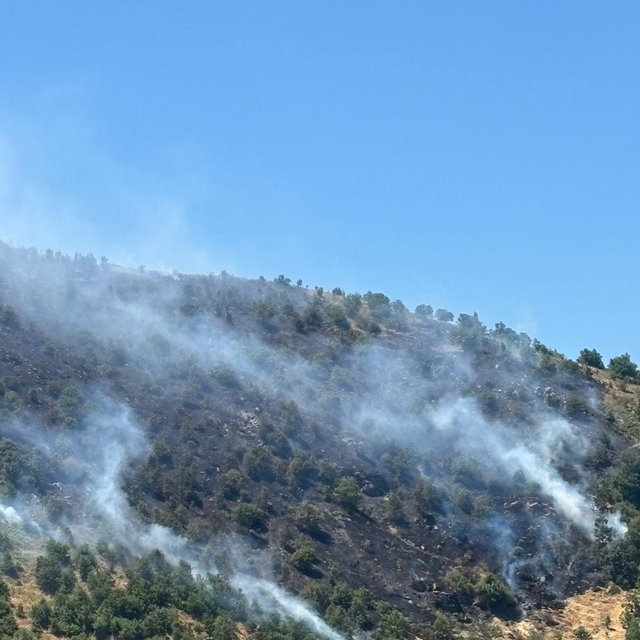 Sultanhisar yangını kontrol altına alındı