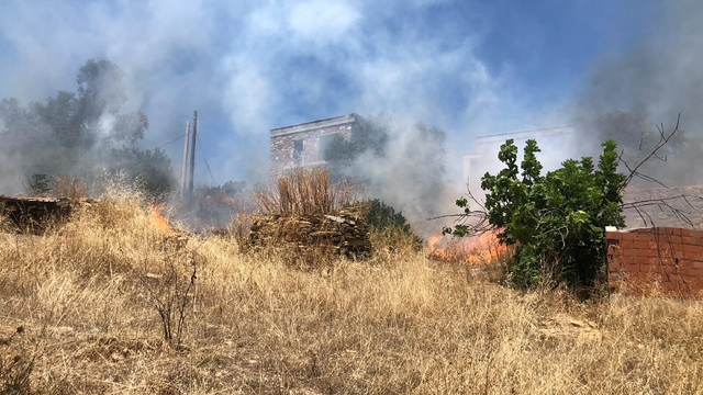 Bodrum'da otluk alanda çıkan yangın, ormana sıçradı