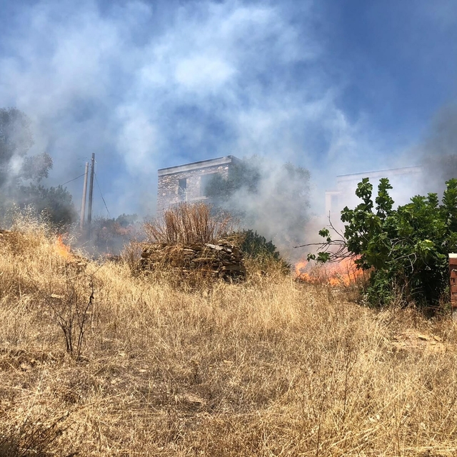 Bodrum'da otluk alanda çıkan yangın, ormana sıçradı