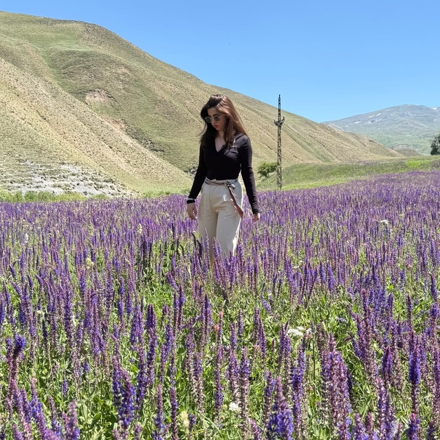 Başkale'de lavanta tarlası ilgi odağı oldu