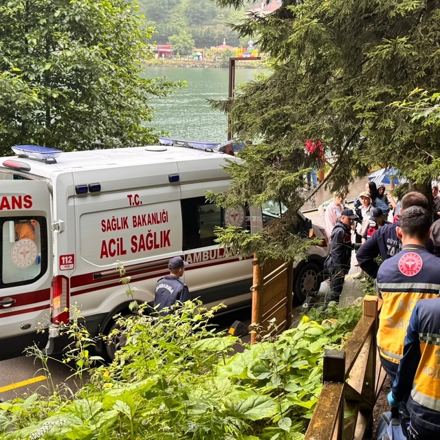 Uzungöl'de seyir terasından araç uçtu: 2 Arap turist yaralı
