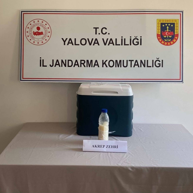 5 milyon dolarlık akrep zehri Yalova'da yakalandı