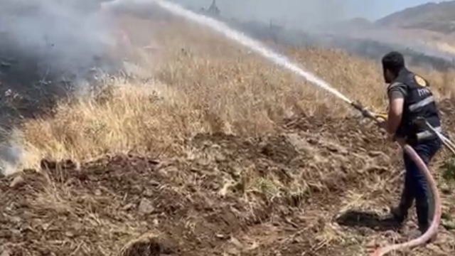 Elazığ'da 35 dönüm ekili alan küle döndü