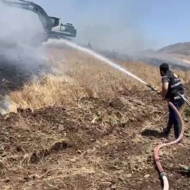 Elazığ'da 35 dönüm ekili alan küle döndü