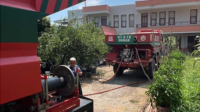 Alanya'da avokado bahçelerinin bulunduğu zirai alanda yangın