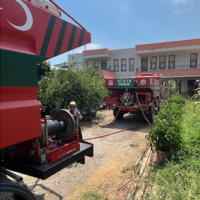 Alanya'da avokado bahçelerinin bulunduğu zirai alanda yangın
