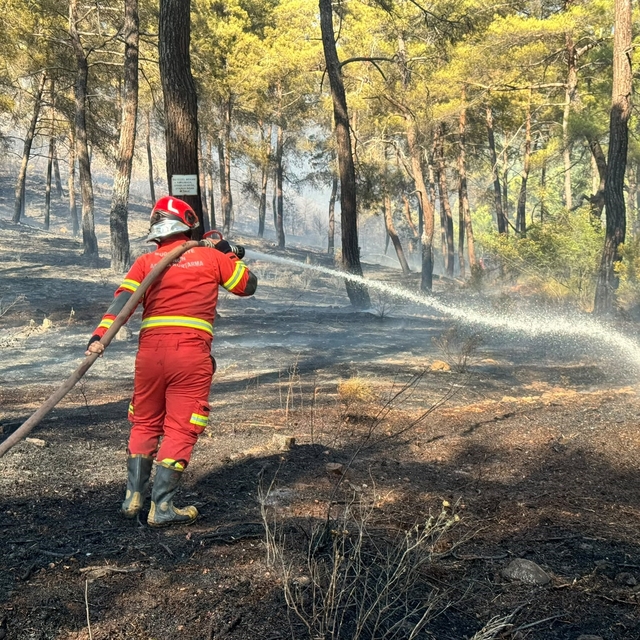 Ortaca'da orman yangını