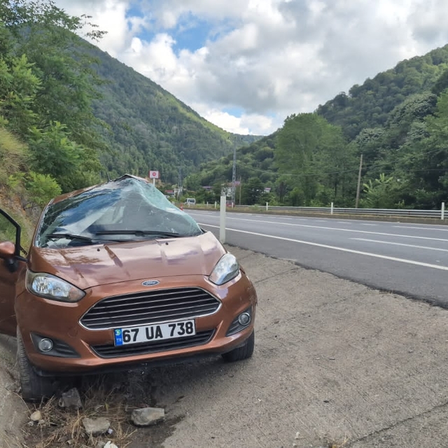 TIR ile çarpışan otomobildeki çift öldü