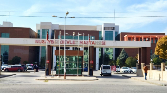 Galeri