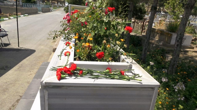 Galeri