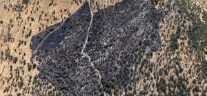 Diyarbakır'da örtü yangınında 50 dönümlük alan zarar gördü; Tahribat dronla...