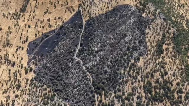 Diyarbakır'da örtü yangınında 50 dönümlük alan zarar gördü; Tahribat dronla görüntülendi