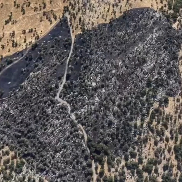 Diyarbakır'da örtü yangınında 50 dönümlük alan zarar gördü; Tahribat dronla...