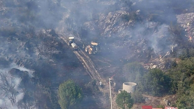 Muğla'da orman yangını (2)