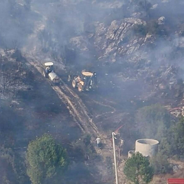Muğla'da orman yangını (2)