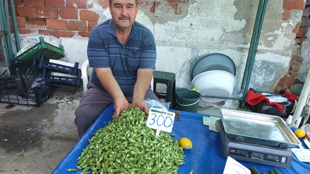 Burhaniye'de bamya üreticisine kazandırdı
