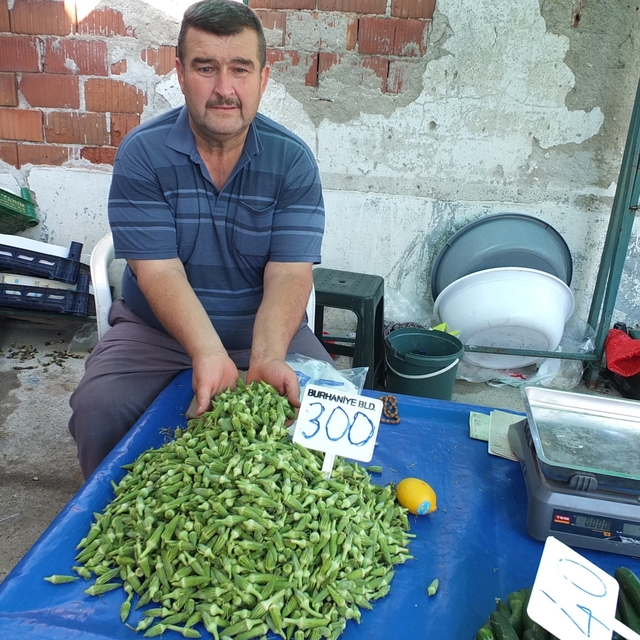 Burhaniye'de bamya üreticisine kazandırdı