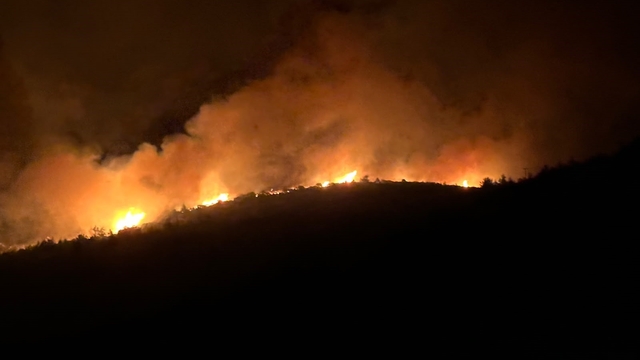 Milas'ta alevler geceyi aydınlattı
Ekiplerin alevlerle mücadelesi devam ediyor