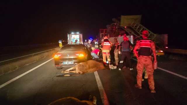 Otomobil ineklere çarptı: 2 yaralı