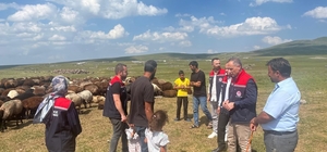 Kars'ta yaylalarda hayvancılığa yakın takip