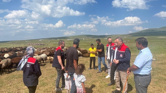 Kars'ta yaylalarda hayvancılığa yakın takip