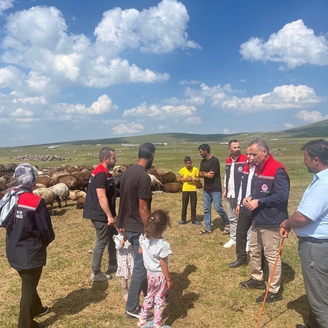 Kars'ta yaylalarda hayvancılığa yakın takip