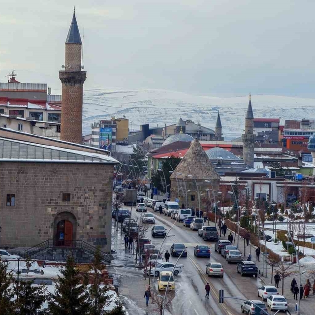 Erzurum'da göçün en büyük nedenleri aile ve eğitim