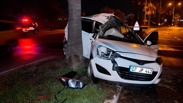 Refüjdeki palmiyeye çarpan otomobilin sürücüsü yaralandı