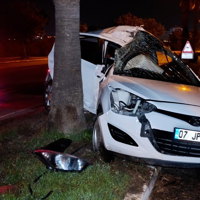Refüjdeki palmiyeye çarpan otomobilin sürücüsü yaralandı