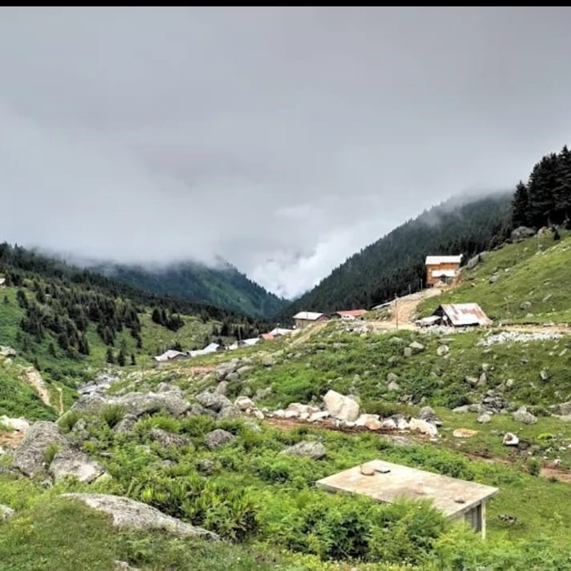 Rize'nin Hamlakit Yaylası'nda kaybolan Rus turistler sağ olarak bulundu