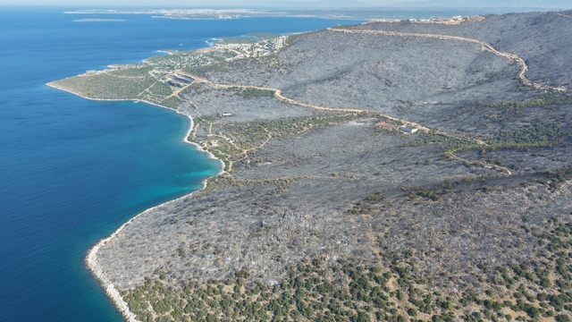 Yeşille maviyi orman yangını ayırdı
Muğla'da yeşil örtü, karaya döndü