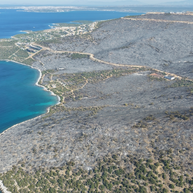 Yeşille maviyi orman yangını ayırdı
Muğla'da yeşil örtü, karaya döndü
