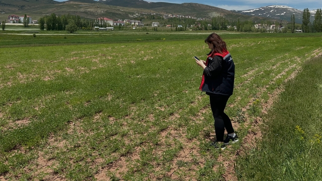 Aydıntepe'de ürün tespit çalışmaları sürüyor
