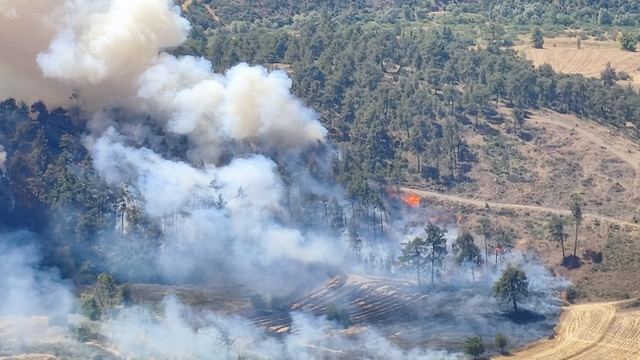 Bursa'da orman yangını