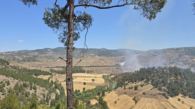 Dursunbey'de orman yangını
