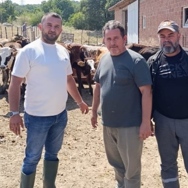 Tunçbilek'te daha sağlıklı hayvancılık için ilaçlama yapıldı