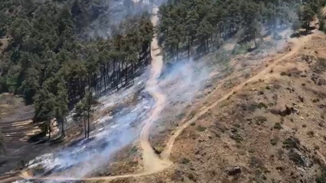 Bursa'da orman yangını (2)