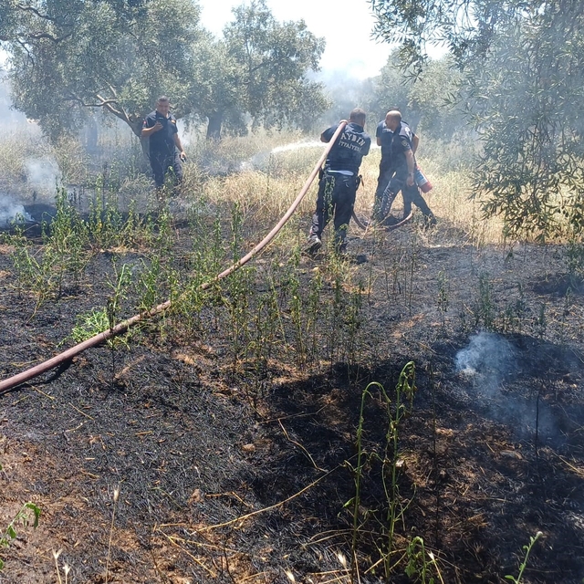 Ot biçerken zeytinliği yaktı