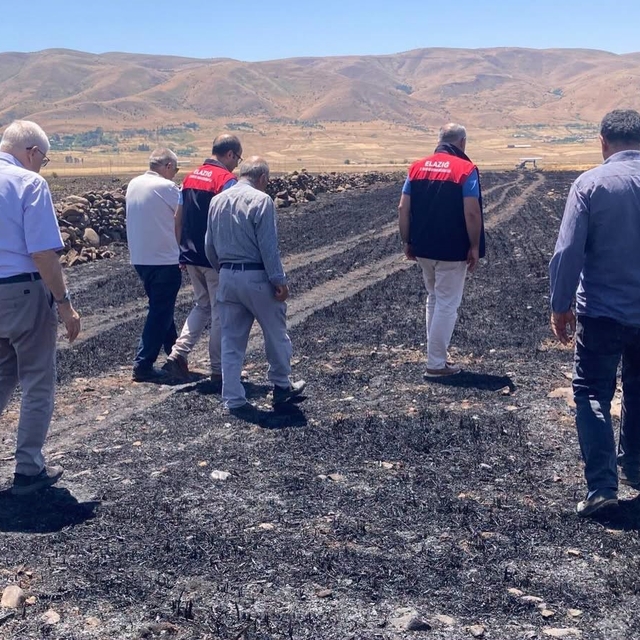 Elazığ'da küle dönen 70 dönümlük ekili alanda hasar tespit çalışmaları