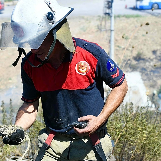 İzmir'de otluk alanda çıkan yangın, ormana sıçradı (2)