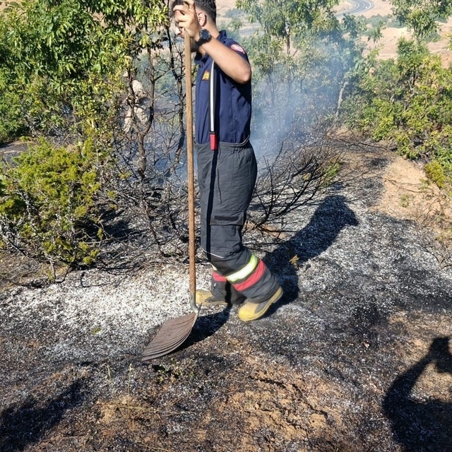 Bingöl'de yol kenarında çıkan yangın söndürüldü