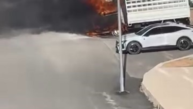 Elazığ'da pikap alev topuna döndü