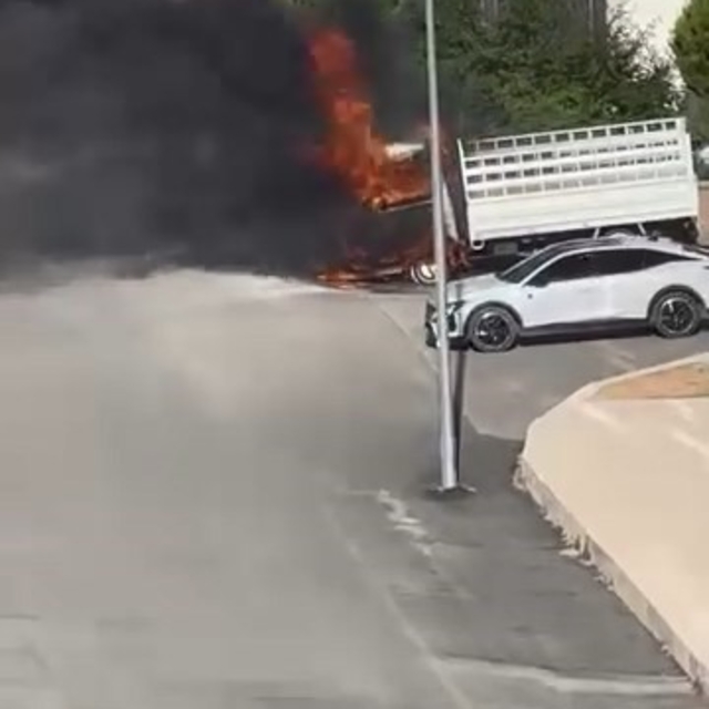 Elazığ'da pikap alev topuna döndü